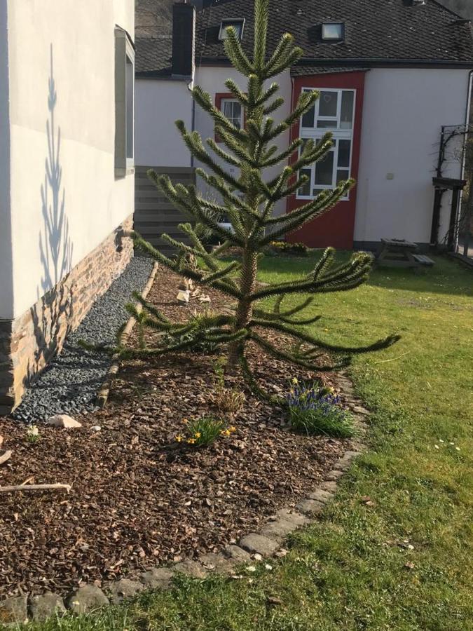 Ferienwohnung Sonnen - Terrasse Bernkastel-Kues Zewnętrze zdjęcie